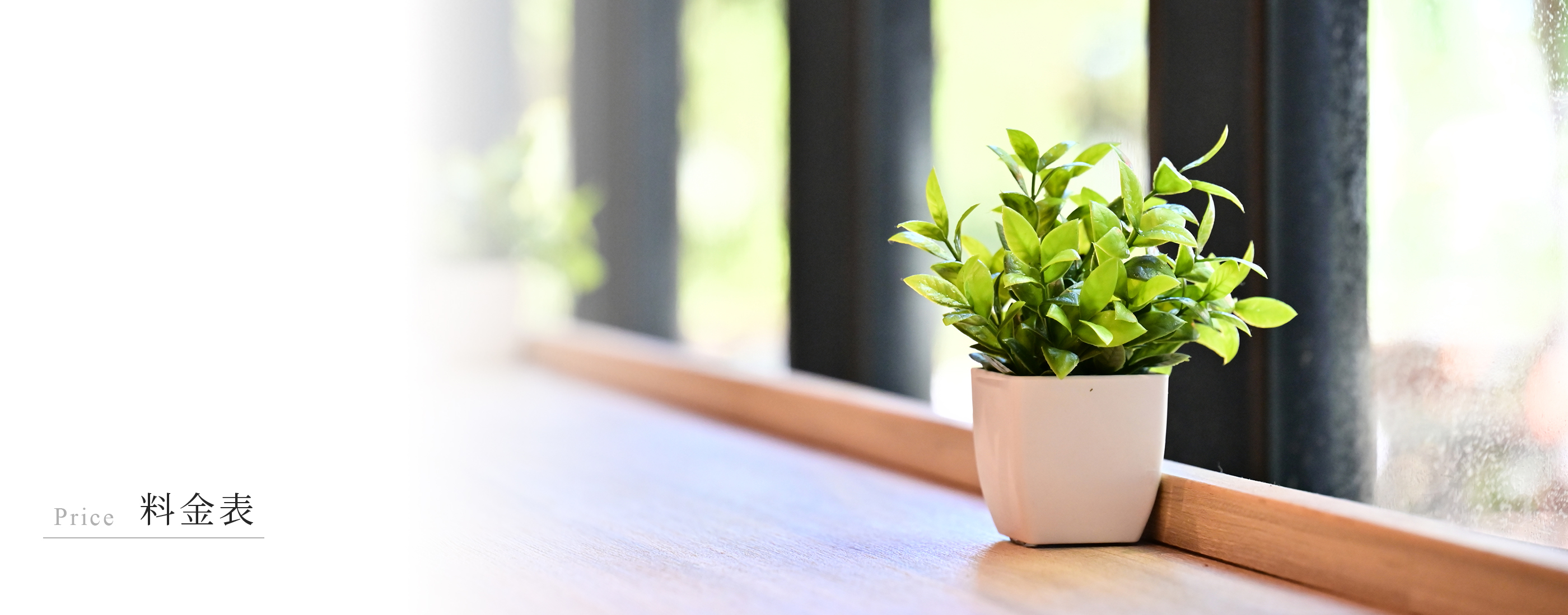 キービジュアル