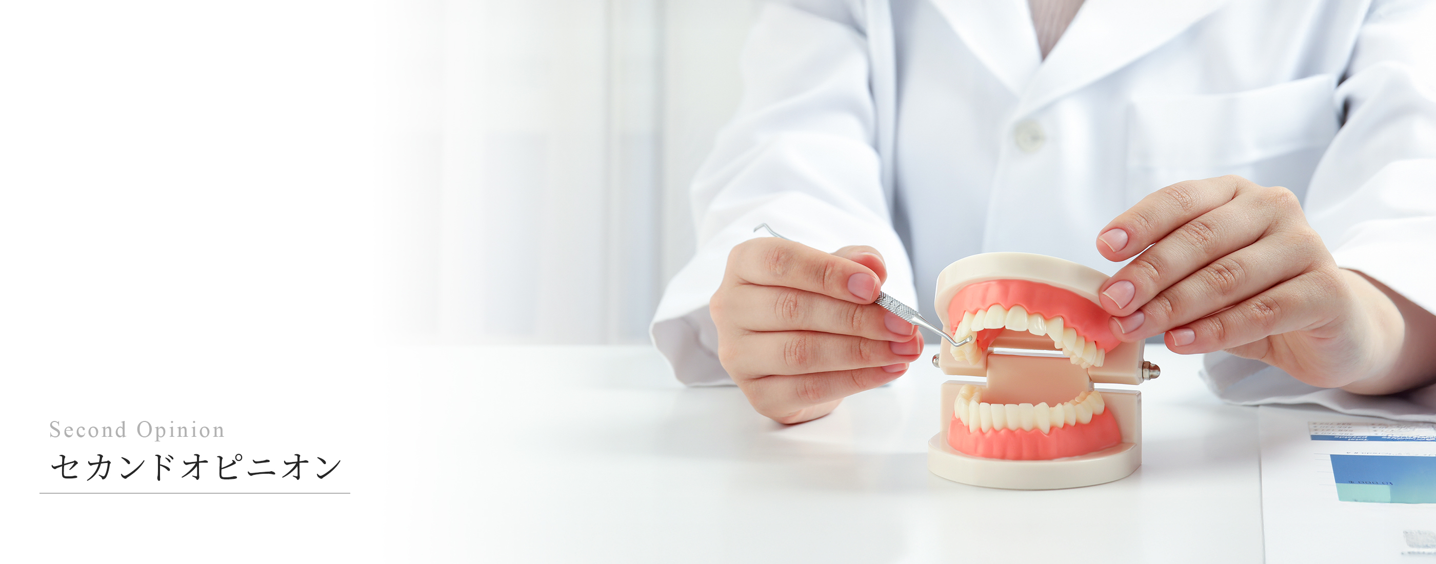 キービジュアル